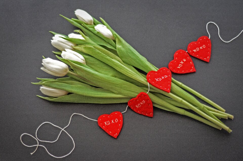 Tulips hearts freshness