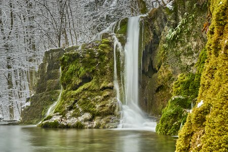 River rock moss photo