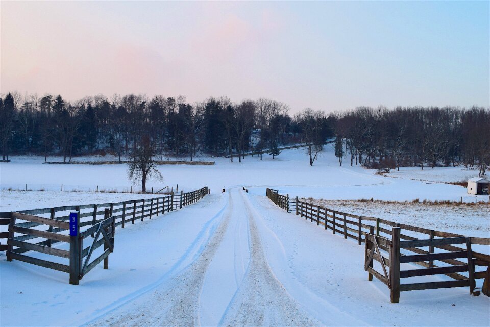 Winter cold white