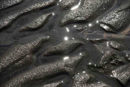 Sand beach ebb