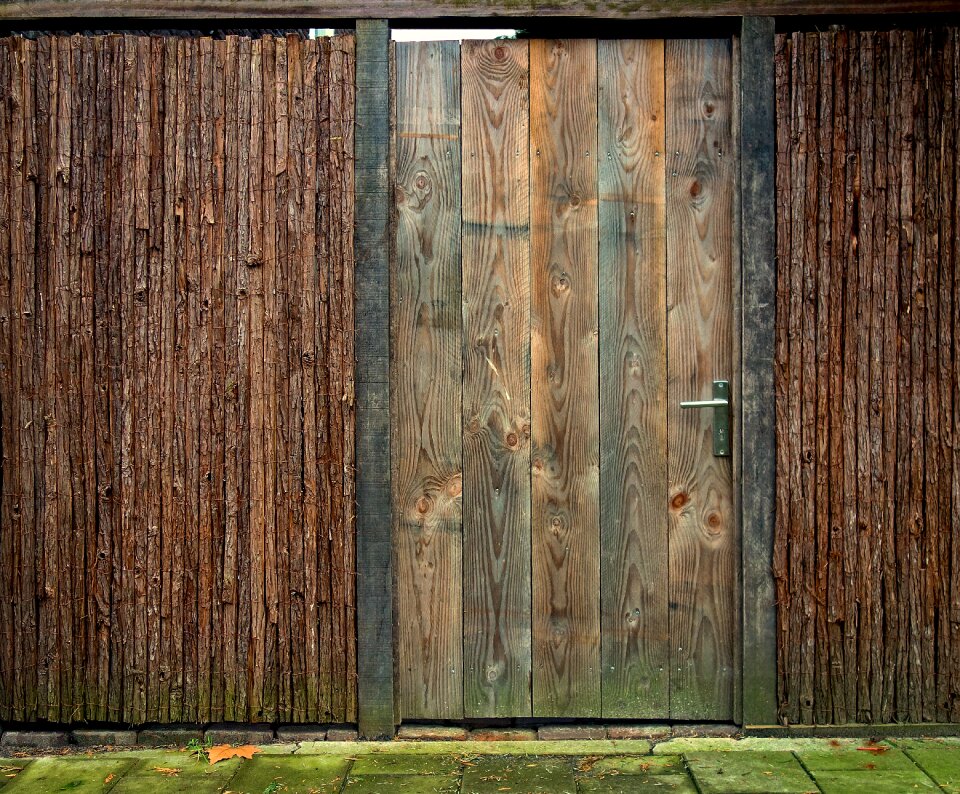 Back door planks grain