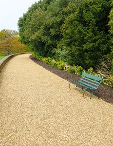 Empty wood garden