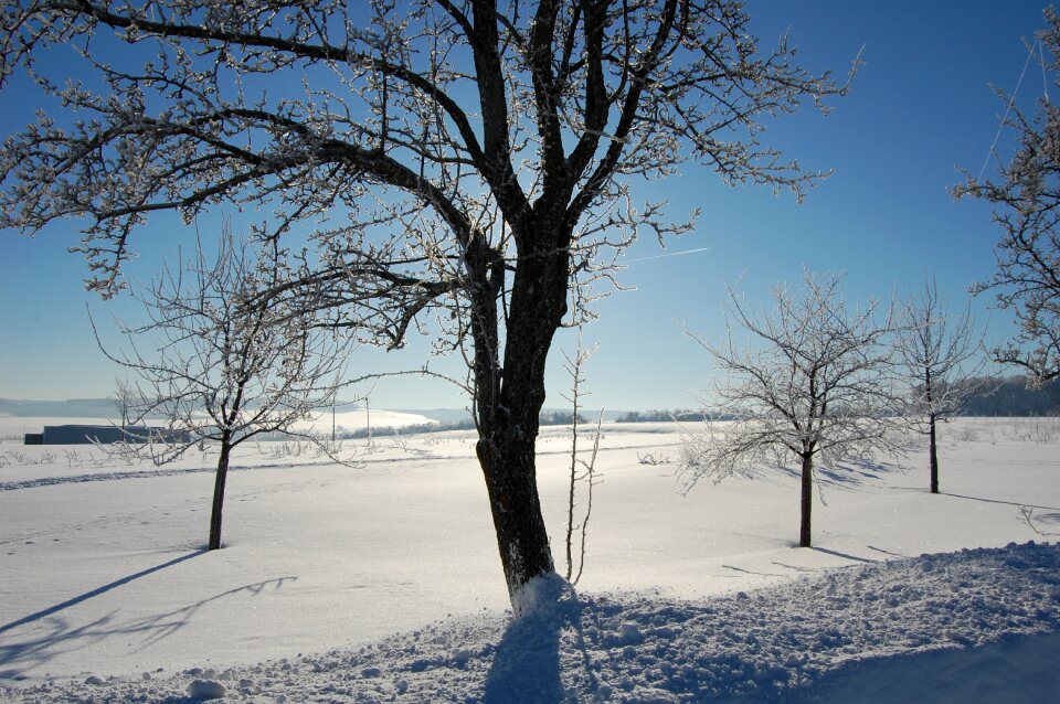 Snow nature season