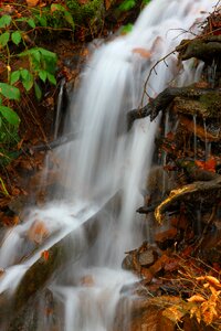 Autumn wood source water photo