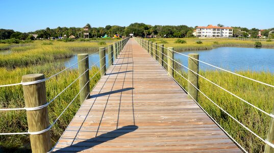 Summer grass boardwalk