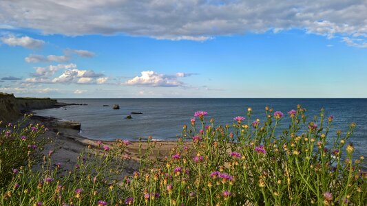 Panoramic nature water
