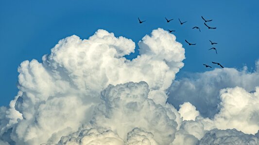Weather cloud birds photo
