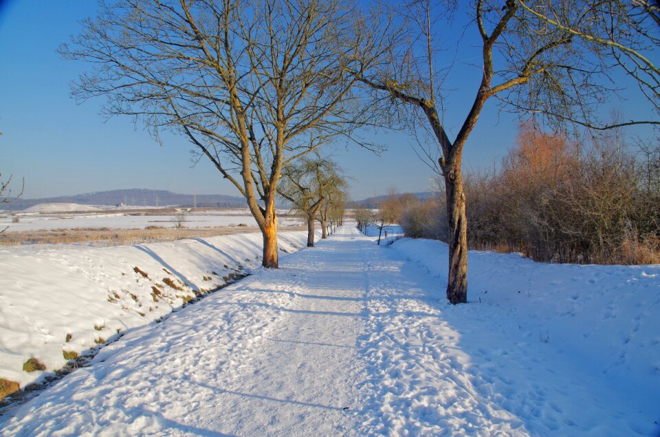 Cold frozen landscape