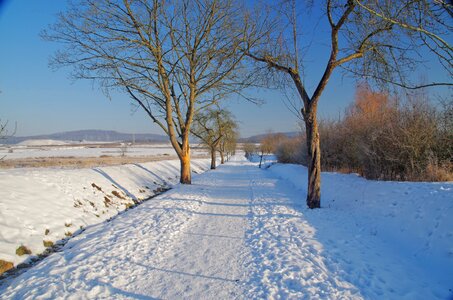 Cold frozen landscape photo