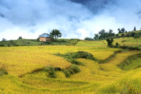 Ha giang terraces hoang su phi photo