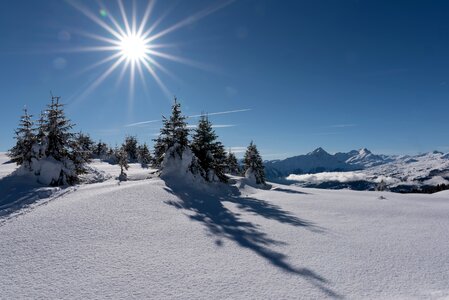 Snow landscape wintry winter mood photo