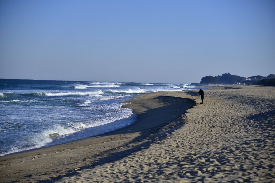 Beach coast nature