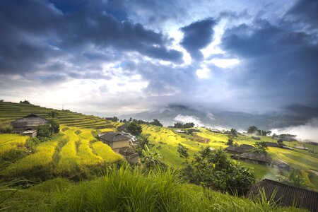 Ha giang terraces hoang su phi