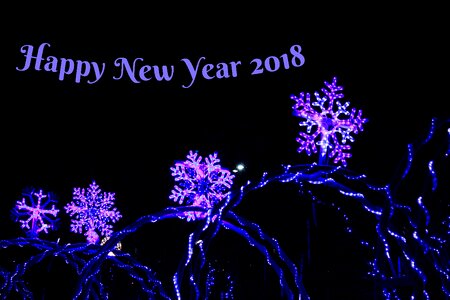 Greeting new year color