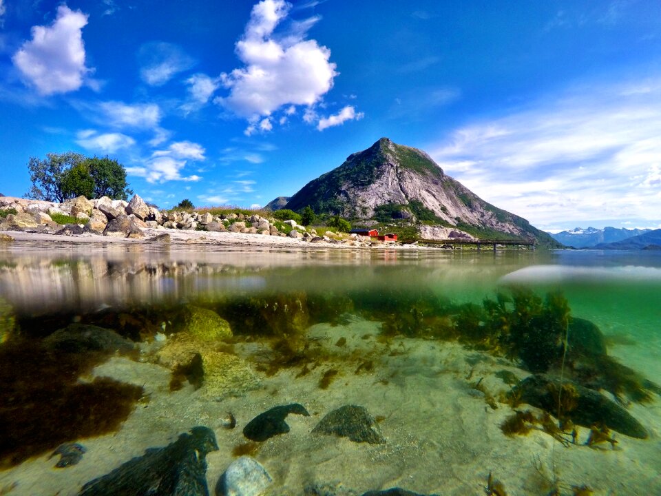Landscape seashore summer
