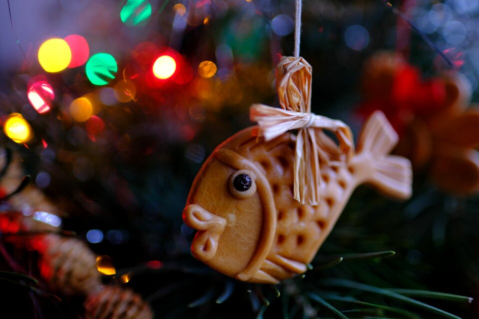 Christmas time fish christmas