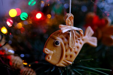 Christmas time fish christmas