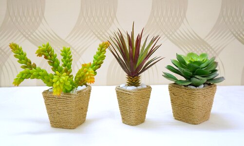 Decorate craft rope
