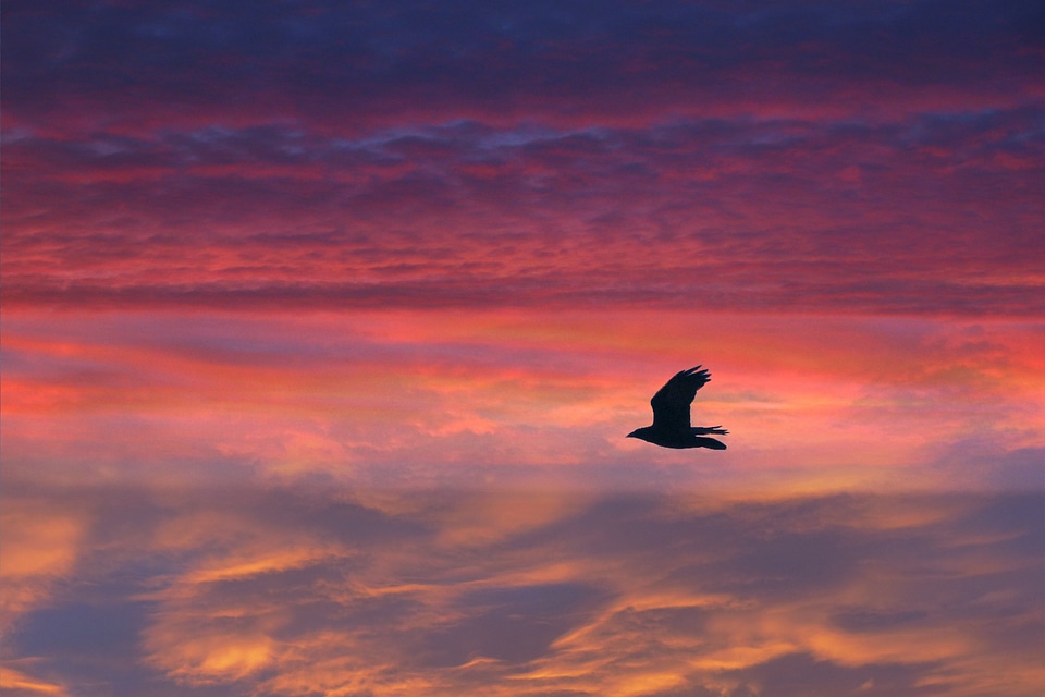 Sunset red sky