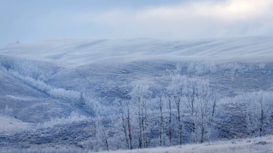 Cold frost icy photo