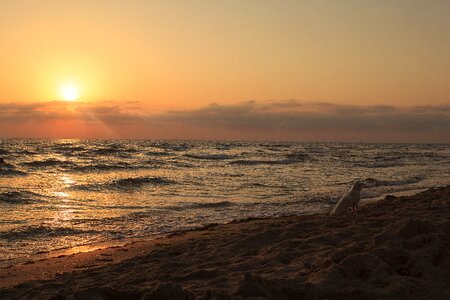 Sun twilight beach photo