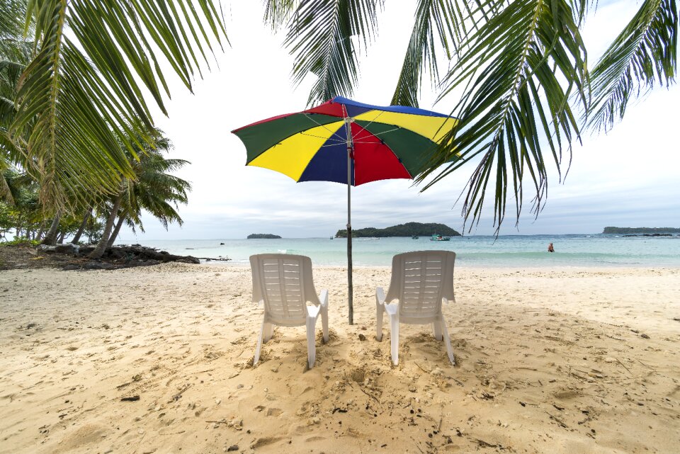 Chair the beach tree