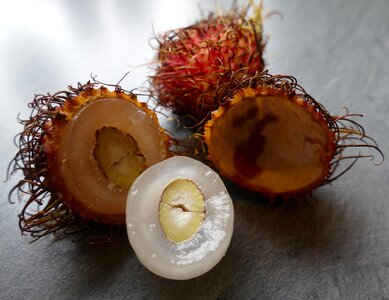 Shells tropical fruit food photo