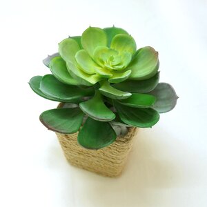 Craft rope stone lotus