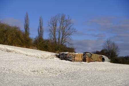 Cold frost wood