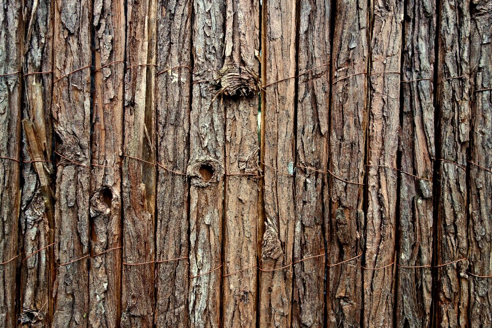 Untreated fence bark