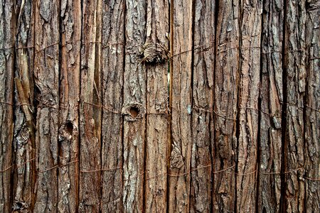 Untreated fence bark