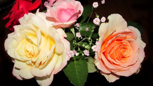 Bouquet garden nature