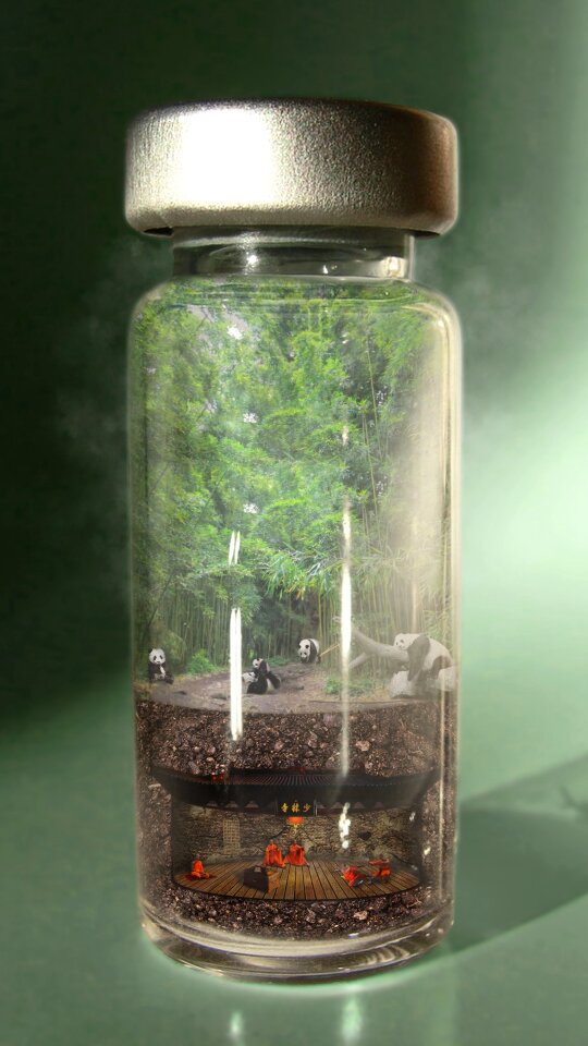 Pandas shaolin earth