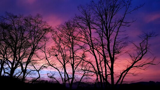 Landscape season lighting