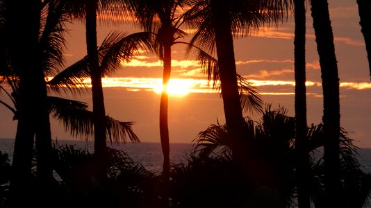Sun evening