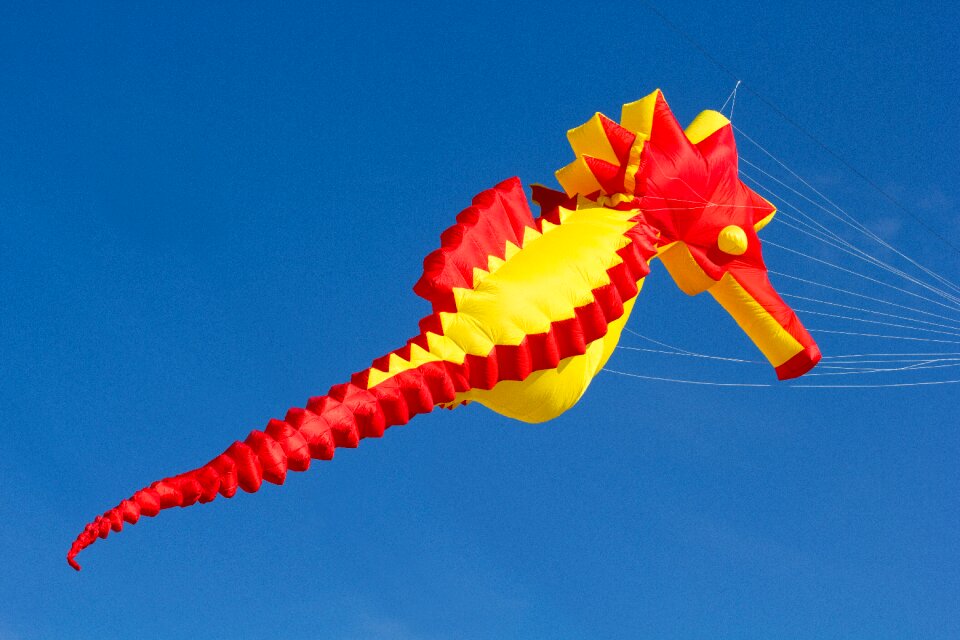 Dragons dragon festival hanover