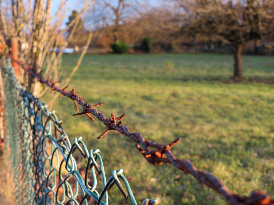 Season landscape fence