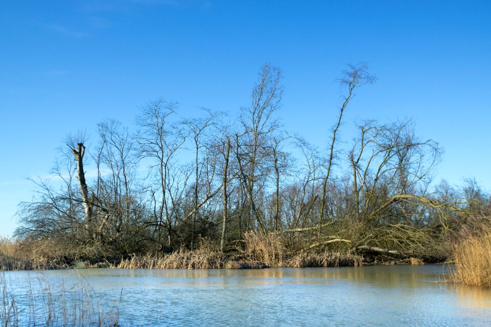 Outdoor wood rural area
