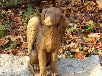 Pet memorial brown memory
