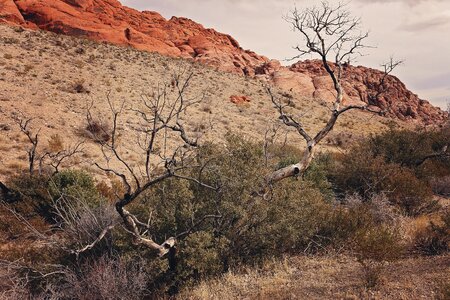 Desert nature rock photo