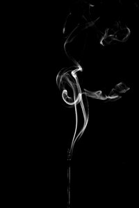 Incense isolated black and white photo