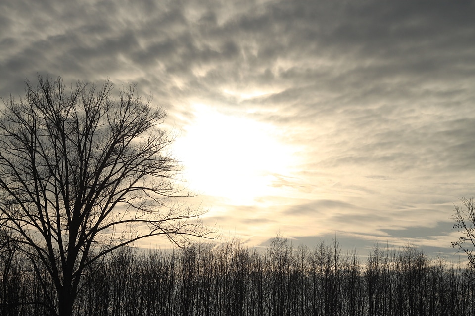 Nature landscape abendstimmung