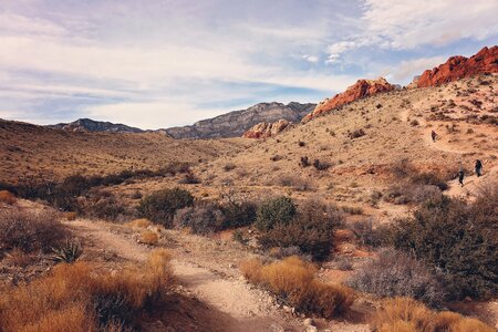 Desert nature rock