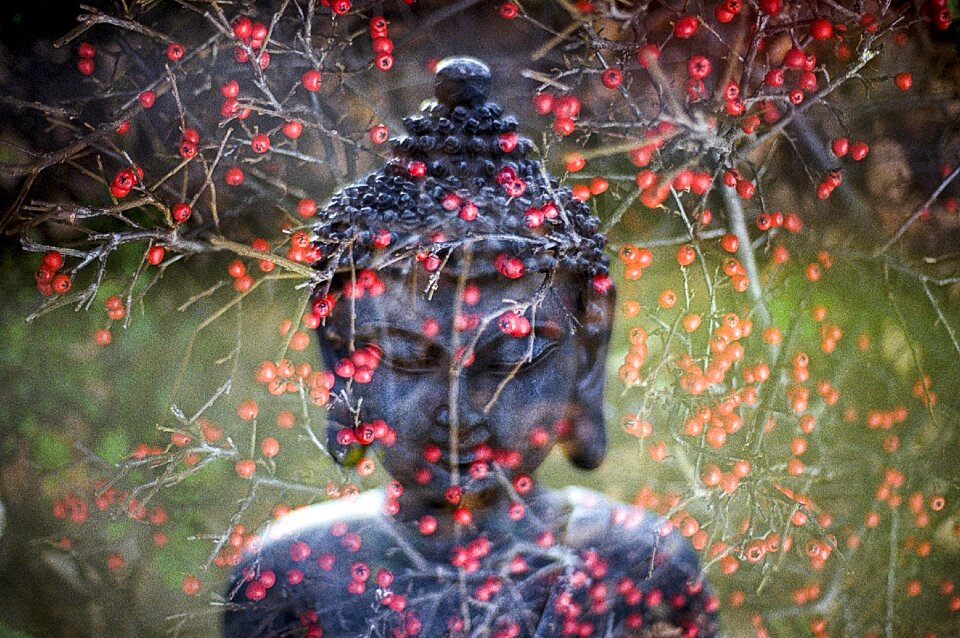 Statue buddhist oriental