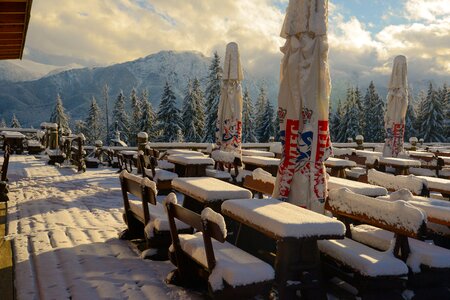 Snow at the court of winter