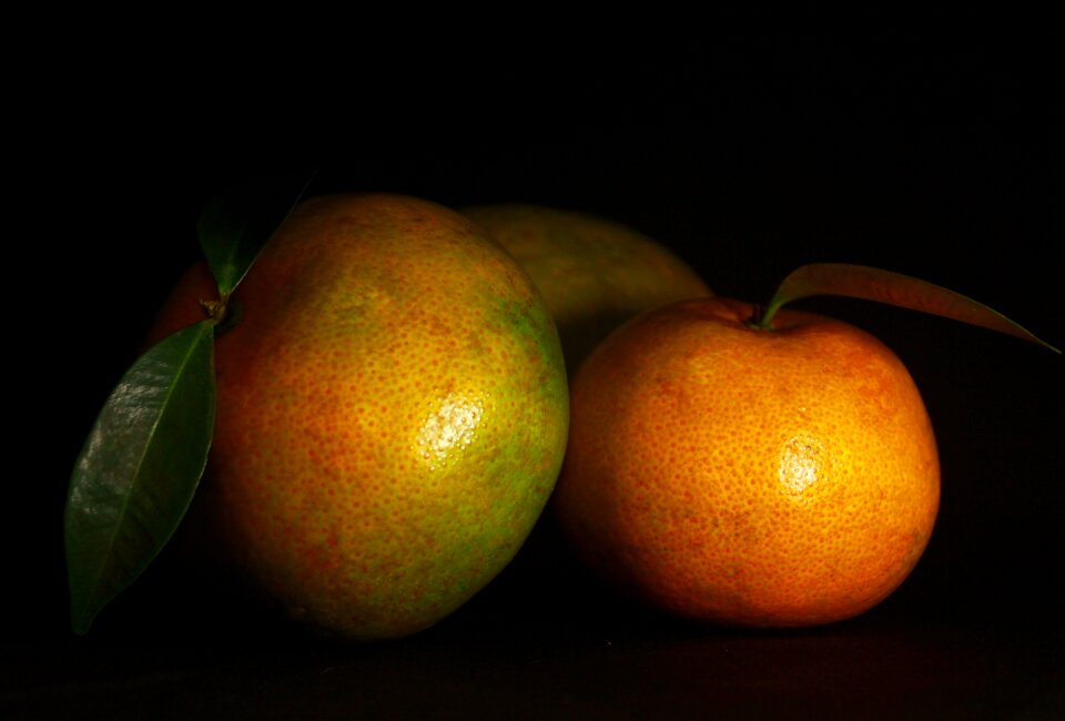 Fresh yellow green