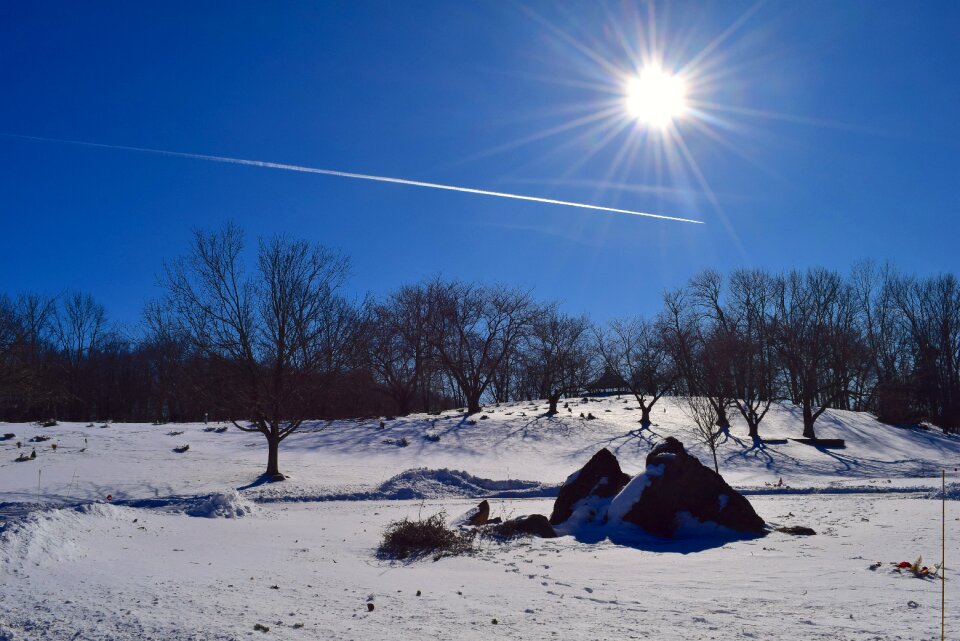 Winter white cold