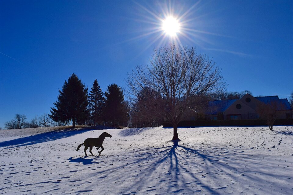 Shadow sun landscape