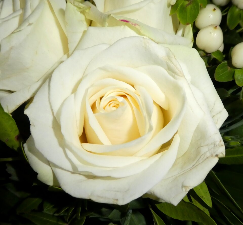 Wedding love white