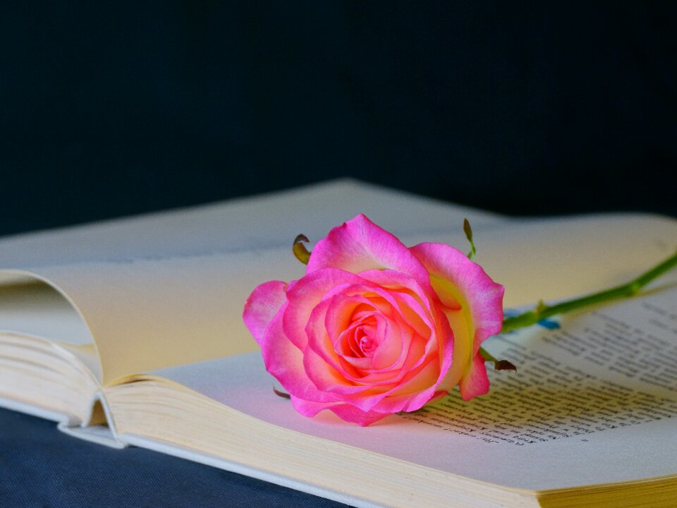 Flower rose book